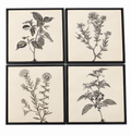Botanical Wall Art Set – 4 Coordinated Framed Prints