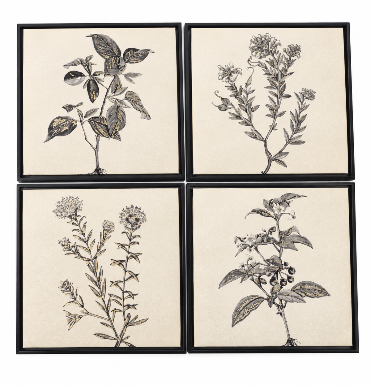 Botanical Wall Art Set – 4 Coordinated Framed Prints