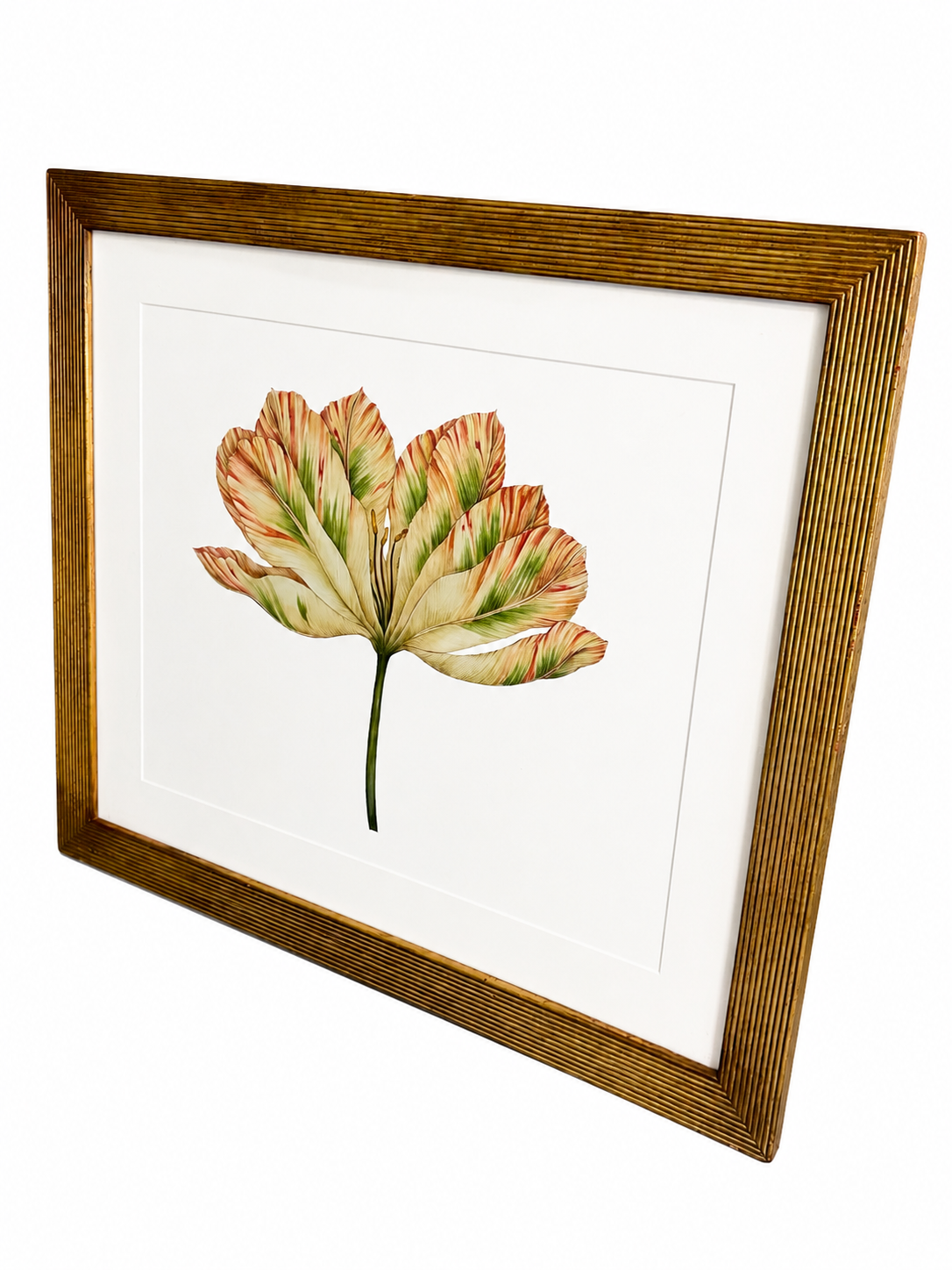Framed Botanical Tulip Wall Art – Textured Antique Gold Frame