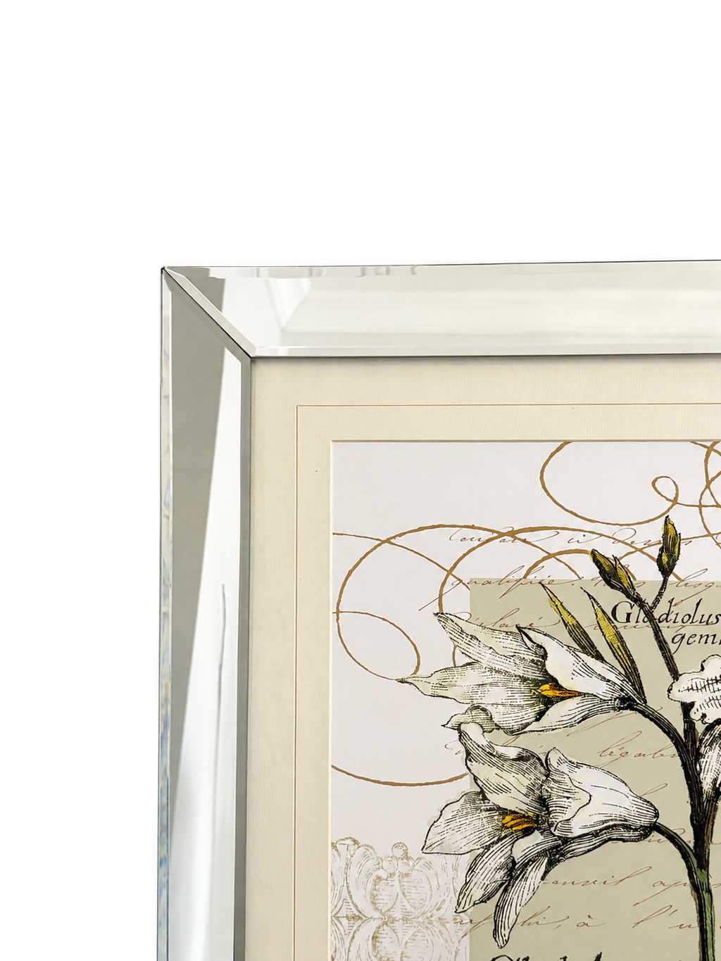 Mirrored Frame Botanical Floral Wall Art – 23” x 27.5”