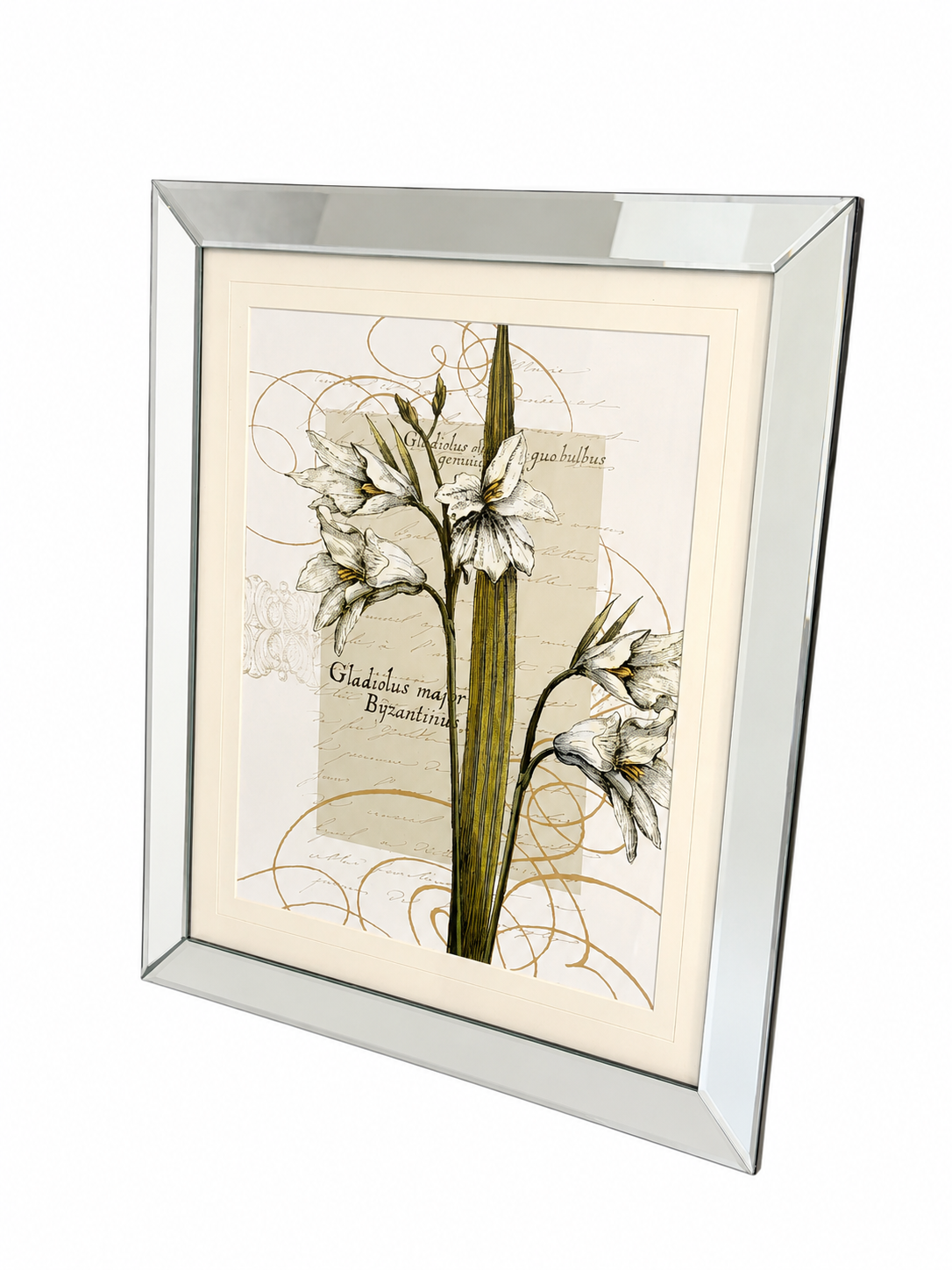 Mirrored Frame Botanical Floral Wall Art – 23” x 27.5”