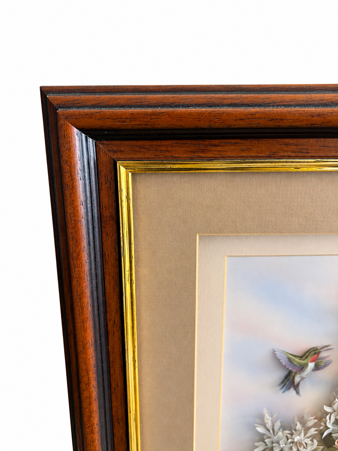 Rob Halle Signed Hummingbird & Floral Framed Art