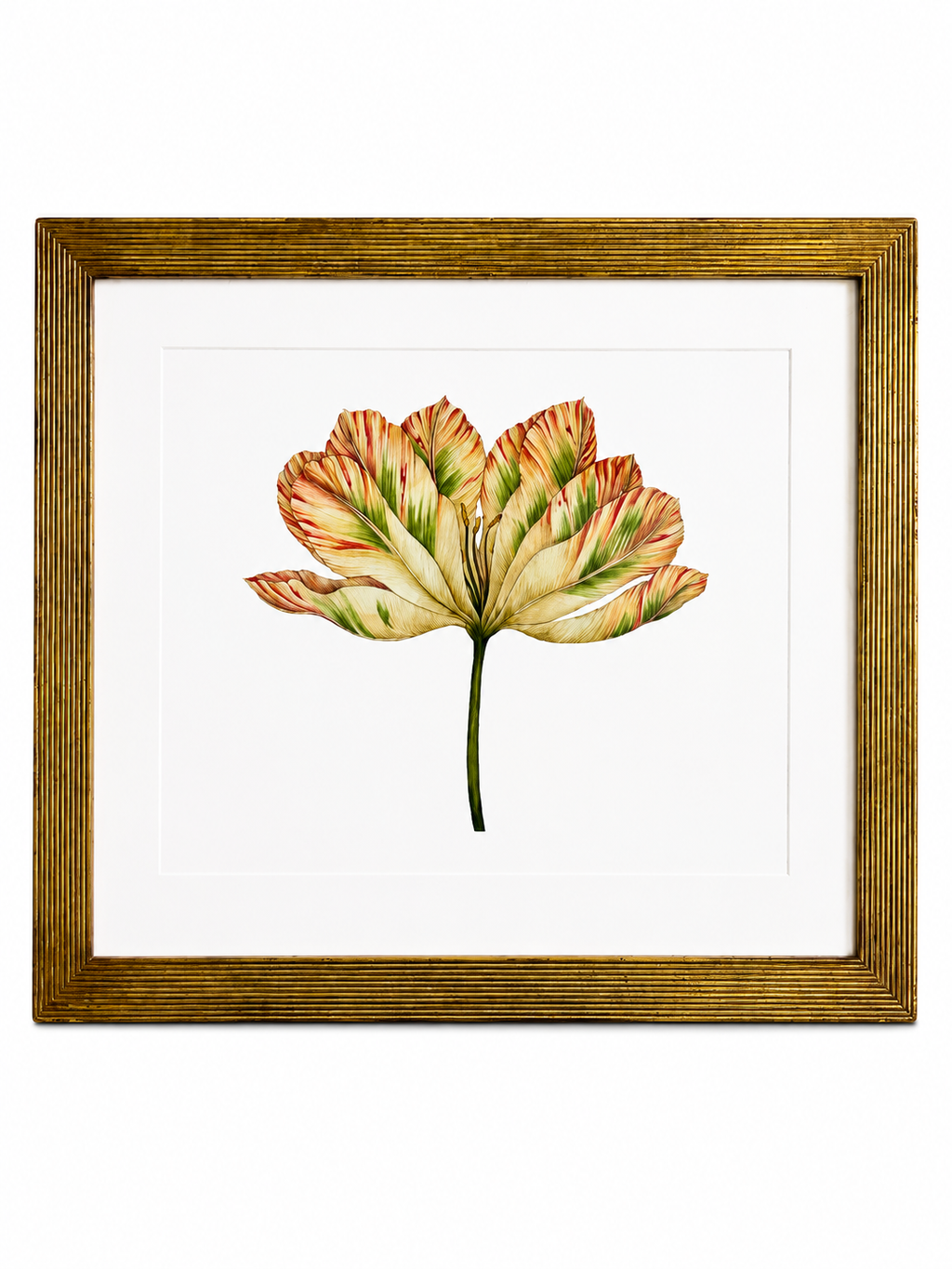 Framed Botanical Tulip Wall Art – Textured Antique Gold Frame
