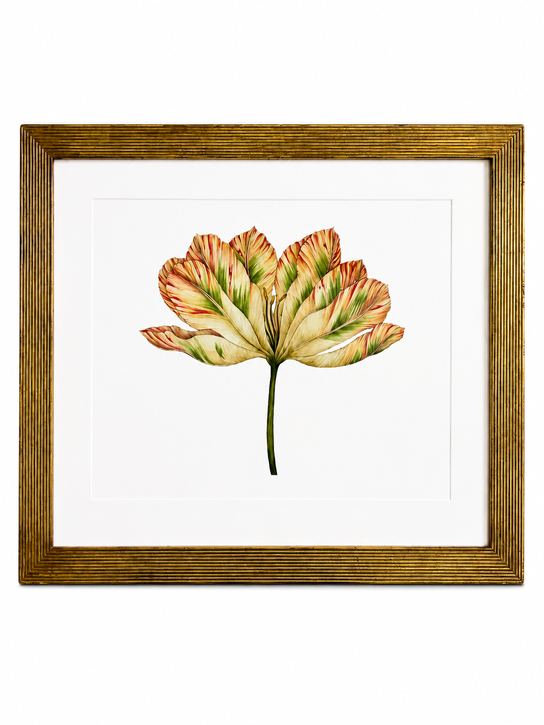 Framed Botanical Tulip Wall Art – Textured Antique Gold Frame
