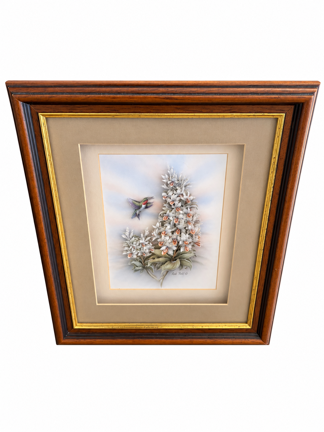 Rob Halle Signed Hummingbird & Floral Framed Art
